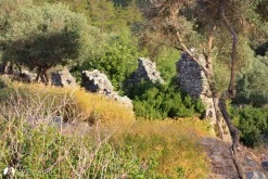 Alakışla Bükü photo 8