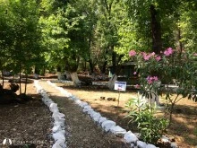 Göcek Adası İncirli Koy photo 14