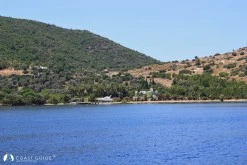 Demir Liman photo 8