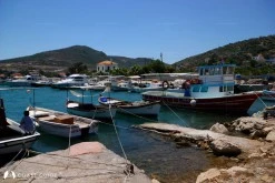 Balıklıova Limanı photo 5
