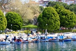 Dikili Limanı photo 15