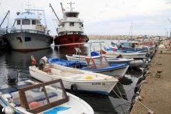 Yeni Liman photo 9