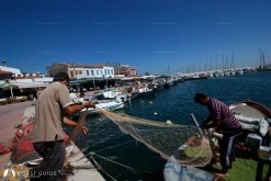 Urla Limanı photo 9