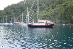 Karacasöğüt photo 4