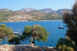 Baba Adası photo 5