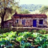Selimiye photo 21