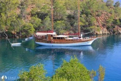 Eğri Çam (İnceburun) Koyu photo 5