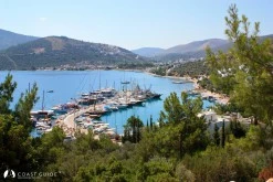 Torba photo 3