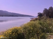 Bademli photo 25