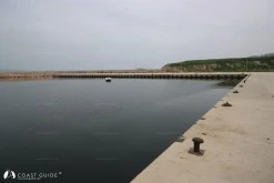 Bandırma Barınağı photo 6