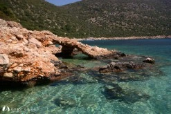 Yeşilköy Limanı photo 10