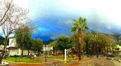 Turunç photo 12