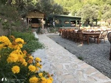 Taşkaya (Bedri Rahmi) Koyu  photo 14
