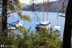 Karacasöğüt photo 13