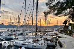 Albatros Marina photo 12