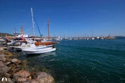Urla Limanı photo 4