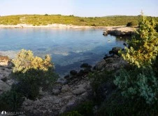 Küçük Gevil photo 6