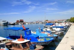 Dikili Limanı photo 6