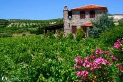 Sulubahçe Bay(Bozcaada) photo 10