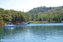 Okluk Koyu photo 7