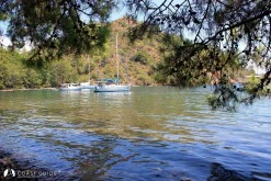Kargılık Koyu (Atbükü-Günlüklü) photo 7