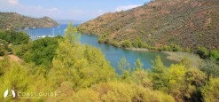 Boynuzbükü photo 13