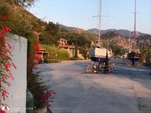 Martı Marina photo 26