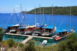 Kargıcık Bükü photo 12