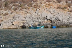 Arap Island photo 7