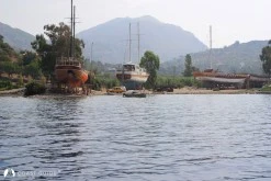 Söğüt Port photo 7