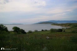 Paşalimanı Adası photo 12