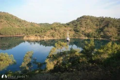Bencik photo 13