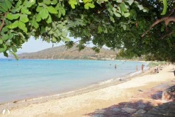 Karaincir Koyu photo 8