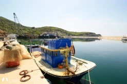 Çınarlı photo 5