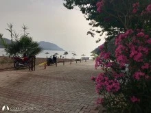 Adrasan(Çavuş Limanı) photo 24