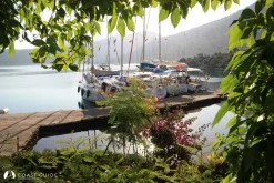Dirsek Bükü photo 7