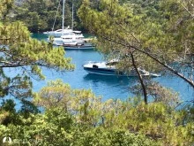 Eğri Çam (İnceburun) Koyu photo 8