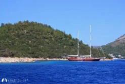 Kargıcık Bükü photo 6