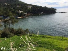 Büyükada photo 14