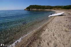Çam Limanı (Özdere) photo 10