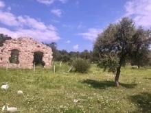 Bademli photo 27