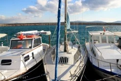 Mordoğan Limanı photo 18