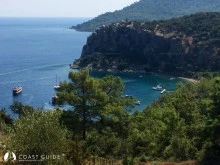 Amos(Asarcık) Koyu photo 7