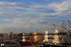 Didim - Altınkum photo 11