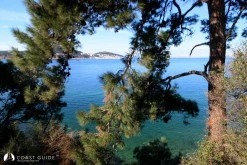 Büyükada photo 6