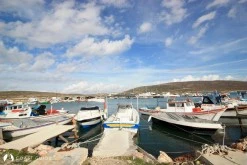 Port Alaçatı Marina photo 7