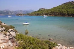 Sığ Liman photo 9