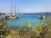 Çamaltı Koyu photo 14