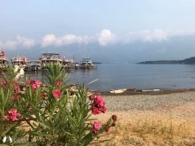 Çamlı Limanı photo 17