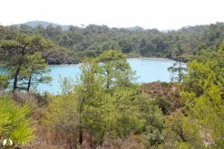 Küçük Çatı Koyu photo 7